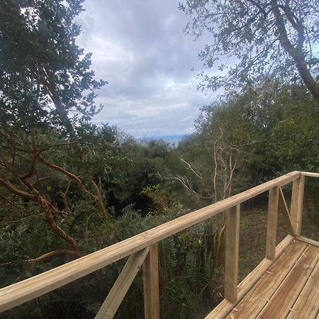 Bordemundo B&B Y Cabanas Puerto Varas Bagian luar foto
